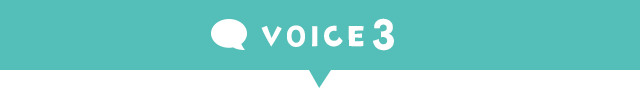 VOICE3